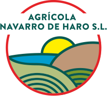 Logo - navarro de haro.png
